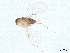  ( - BIOUG17350-A11)  @11 [ ] CreativeCommons - Attribution (2022) CBG Photography Group Centre for Biodiversity Genomics