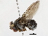  ( - BIOUG31554-D03)  @11 [ ] CreativeCommons - Attribution (2019) CBG Photography Group Centre for Biodiversity Genomics
