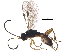  (cryptJanzen01 Malaise8263 - BIOUG31570-F05)  @14 [ ] CreativeCommons - Attribution (2017) CBG Photography Group Centre for Biodiversity Genomics