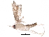  (malaiseGraci01 Malaise6737 - BIOUG31663-F04)  @14 [ ] CreativeCommons - Attribution (2017) CBG Photography Group Centre for Biodiversity Genomics