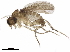  ( - BIOUG31687-G12)  @12 [ ] CreativeCommons - Attribution (2019) CBG Photography Group Centre for Biodiversity Genomics