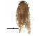  ( - BIOUG32922-A02)  @12 [ ] CreativeCommons - Attribution (2017) CBG Photography Group Centre for Biodiversity Genomics