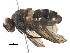  (Wood44 - BIOUG37393-B10)  @11 [ ] CreativeCommons - Attribution (2018) CBG Photography Group Centre for Biodiversity Genomics