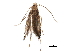  (malaiseGraci01 Malaise1211 - BIOUG37578-F03)  @11 [ ] CreativeCommons - Attribution (2018) CBG Photography Group Centre for Biodiversity Genomics
