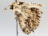  ( - BIOUG64440-D03)  @11 [ ] CreativeCommons - Attribution (2021) Centre for Biodiversity Genomics Centre for Biodiversity Genomics