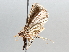  ( - BIOUG64440-E02)  @11 [ ] CreativeCommons - Attribution (2021) Centre for Biodiversity Genomics Centre for Biodiversity Genomics