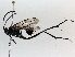  ( - BIOUG64440-F02)  @11 [ ] CreativeCommons - Attribution (2021) Centre for Biodiversity Genomics Centre for Biodiversity Genomics