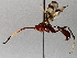  ( - BIOUG63995-F12)  @11 [ ] CreativeCommons - Attribution (2021) Centre for Biodiversity Genomics Centre for Biodiversity Genomics