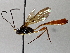  ( - BIOUG63995-G12)  @11 [ ] CreativeCommons - Attribution (2021) Centre for Biodiversity Genomics Centre for Biodiversity Genomics