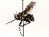  ( - BIOUG64441-F12)  @11 [ ] CreativeCommons - Attribution (2021) Centre for Biodiversity Genomics Centre for Biodiversity Genomics