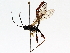  ( - BIOUG64443-A03)  @11 [ ] CreativeCommons - Attribution (2021) Centre for Biodiversity Genomics Centre for Biodiversity Genomics