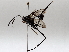  ( - BIOUG64443-C08)  @11 [ ] CreativeCommons - Attribution (2021) Centre for Biodiversity Genomics Centre for Biodiversity Genomics