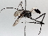  ( - BIOUG64443-D03)  @11 [ ] CreativeCommons - Attribution (2021) Centre for Biodiversity Genomics Centre for Biodiversity Genomics