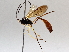  ( - BIOUG64443-E02)  @11 [ ] CreativeCommons - Attribution (2021) Centre for Biodiversity Genomics Centre for Biodiversity Genomics