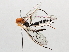  ( - BIOUG64443-F04)  @11 [ ] CreativeCommons - Attribution (2021) Centre for Biodiversity Genomics Centre for Biodiversity Genomics