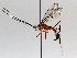  ( - BIOUG64445-D02)  @11 [ ] CreativeCommons - Attribution (2021) Centre for Biodiversity Genomics Centre for Biodiversity Genomics