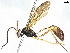  ( - BIOUG64445-H02)  @11 [ ] CreativeCommons - Attribution (2022) CBG Photography Group Centre for Biodiversity Genomics
