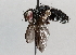  ( - BIOUG64446-F03)  @11 [ ] CreativeCommons - Attribution (2021) Centre for Biodiversity Genomics Centre for Biodiversity Genomics