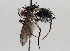  ( - BIOUG64446-F04)  @11 [ ] CreativeCommons - Attribution (2021) Centre for Biodiversity Genomics Centre for Biodiversity Genomics