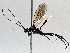  ( - BIOUG70345-F03)  @11 [ ] CreativeCommons - Attribution (2021) Centre for Biodiversity Genomics Centre for Biodiversity Genomics