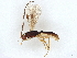  ( - BIOUG71142-B12)  @11 [ ] CreativeCommons - Attribution (2022) CBG Photography Group Centre for Biodiversity Genomics