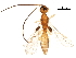  ( - BIOUG17463-H08)  @11 [ ] CreativeCommons - Attribution (2017) CBG Photography Group Centre for Biodiversity Genomics