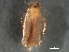  ( - BIOUG17619-D10)  @11 [ ] CreativeCommons - Attribution (2020) CBG Photography Group Centre for Biodiversity Genomics