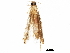  ( - BIOUG17622-D07)  @12 [ ] CreativeCommons - Attribution (2017) CBG Photography Group Centre for Biodiversity Genomics