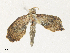  ( - CBG-A36831-D05)  @11 [ ] CreativeCommons - Attribution Share - Alike (2024) CBG Photography Group Centre for Biodiversity Genomics