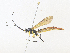  ( - CBG-A36831-E10)  @11 [ ] CreativeCommons - Attribution Share - Alike (2024) CBG Photography Group Centre for Biodiversity Genomics