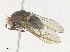  ( - CBG-A36832-F02)  @11 [ ] CreativeCommons - Attribution Share - Alike (2024) CBG Photography Group Centre for Biodiversity Genomics