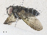  ( - CBG-A36835-C04)  @11 [ ] CreativeCommons - Attribution Share - Alike (2024) CBG Photography Group Centre for Biodiversity Genomics