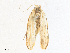  ( - CBG-A36836-H01)  @11 [ ] CreativeCommons - Attribution Share - Alike (2024) CBG Photography Group Centre for Biodiversity Genomics