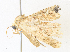  ( - CBG-A36838-B09)  @11 [ ] CreativeCommons - Attribution Share - Alike (2024) CBG Photography Group Centre for Biodiversity Genomics