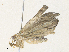  ( - CBG-A36840-E03)  @11 [ ] CreativeCommons - Attribution Share - Alike (2024) CBG Photography Group Centre for Biodiversity Genomics