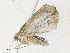  ( - CBG-A36840-F03)  @11 [ ] CreativeCommons - Attribution Share - Alike (2024) CBG Photography Group Centre for Biodiversity Genomics