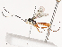  ( - CBG-A40145-A03)  @11 [ ] CreativeCommons - Attribution Share - Alike (2024) CBG Photography Group Centre for Biodiversity Genomics