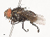  ( - CBG-A40146-B03)  @11 [ ] CreativeCommons - Attribution Share - Alike (2024) CBG Photography Group Centre for Biodiversity Genomics