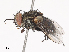  ( - CBG-A40146-H08)  @11 [ ] CreativeCommons - Attribution Share - Alike (2024) CBG Photography Group Centre for Biodiversity Genomics