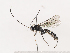  ( - CBG-A40147-A12)  @11 [ ] CreativeCommons - Attribution Share - Alike (2024) CBG Photography Group Centre for Biodiversity Genomics