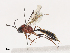  ( - CBG-A40147-B08)  @11 [ ] CreativeCommons - Attribution Share - Alike (2024) CBG Photography Group Centre for Biodiversity Genomics