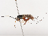  ( - CBG-A40148-B11)  @11 [ ] CreativeCommons - Attribution Share - Alike (2024) CBG Photography Group Centre for Biodiversity Genomics