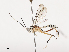  ( - CBG-A40148-C07)  @11 [ ] CreativeCommons - Attribution Share - Alike (2024) CBG Photography Group Centre for Biodiversity Genomics