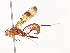  ( - CBG-A40149-C04)  @11 [ ] CreativeCommons - Attribution Share - Alike (2024) CBG Photography Group Centre for Biodiversity Genomics