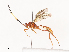  ( - CBG-A40209-A02)  @11 [ ] CreativeCommons - Attribution Share - Alike (2024) CBG Photography Group Centre for Biodiversity Genomics