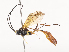  ( - CBG-A40209-B10)  @11 [ ] CreativeCommons - Attribution Share - Alike (2024) CBG Photography Group Centre for Biodiversity Genomics