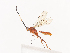  ( - CBG-A40209-F05)  @11 [ ] CreativeCommons - Attribution Share - Alike (2024) CBG Photography Group Centre for Biodiversity Genomics