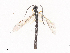  ( - CBG-A40209-H06)  @11 [ ] CreativeCommons - Attribution Share - Alike (2024) CBG Photography Group Centre for Biodiversity Genomics