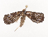  ( - CBG-A40149-G09)  @11 [ ] CreativeCommons - Attribution Share - Alike (2024) CBG Photography Group Centre for Biodiversity Genomics