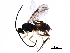  (Dolichogenidea isidrochaconi - BIOUG17841-B01)  @13 [ ] CreativeCommons - Attribution (2016) CBG Photography Group Centre for Biodiversity Genomics